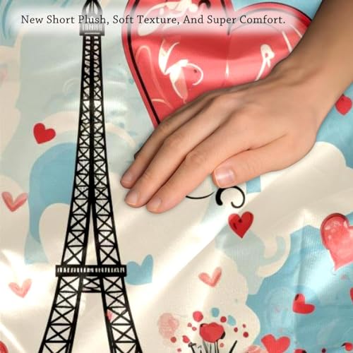 Housse de coussin Tour Eiffel en velours, cadeau romantique lot de 2 - 4