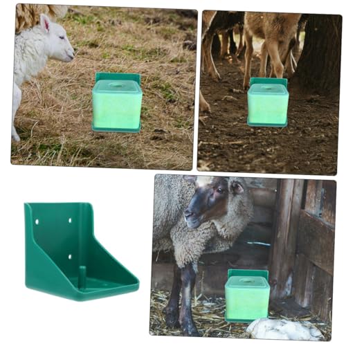 Boîte à sel pour bovins support minéraux élevage moutons et vaches