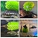 Turtle Scrub Brush, Turtle Scratches Back Brush Turtle Shell Clean Brush with Suction Cup Turtle Exfoliate Brush Tank Tortoise Brush for Remove Turtle Shell Scutes Mud Dirt
