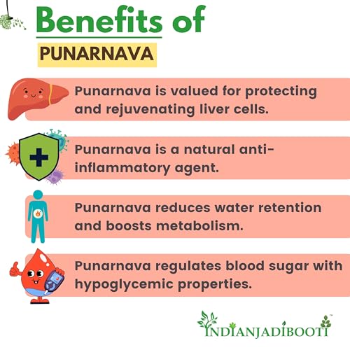 Image of IndianJadiBooti Punarnava Boerhavia Diffusa | Supports Kidney Health & Water Balance | Punarnava Churna For Urinary Wellness & Swelling Relief | With Boerhavia Diffusa Roo - 100g Pack