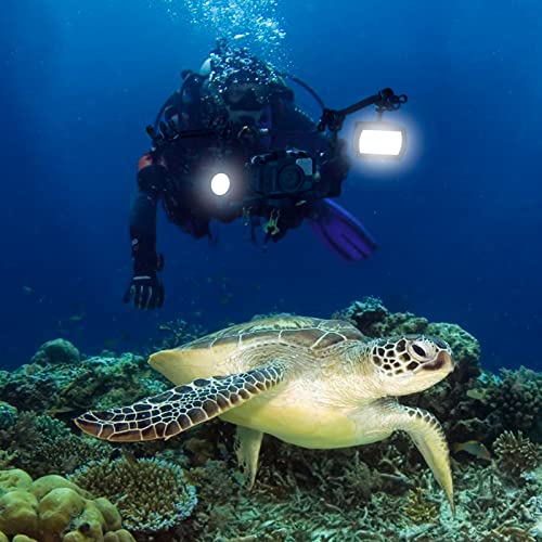 Image of Seafrogs Dual Handheld Underwater Camera Tray Bracket, Aluminum Alloy Diving Photography Stabilizer Holder with Dual 1 inch Ball Clamp Mount, 8 inch Double Ball Arm, and Ys Mount Arm for Diving Photography