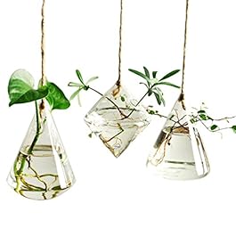 Glass Hanging Planter...