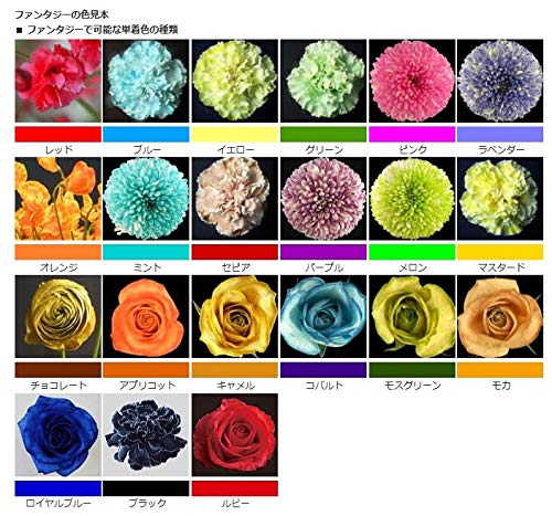 Amazon.co.jp: 切花用着色剤 ファンタジー ブルー 100ml : ホーム