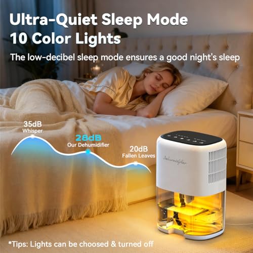 Small Dehumidifier for Home 44OZ