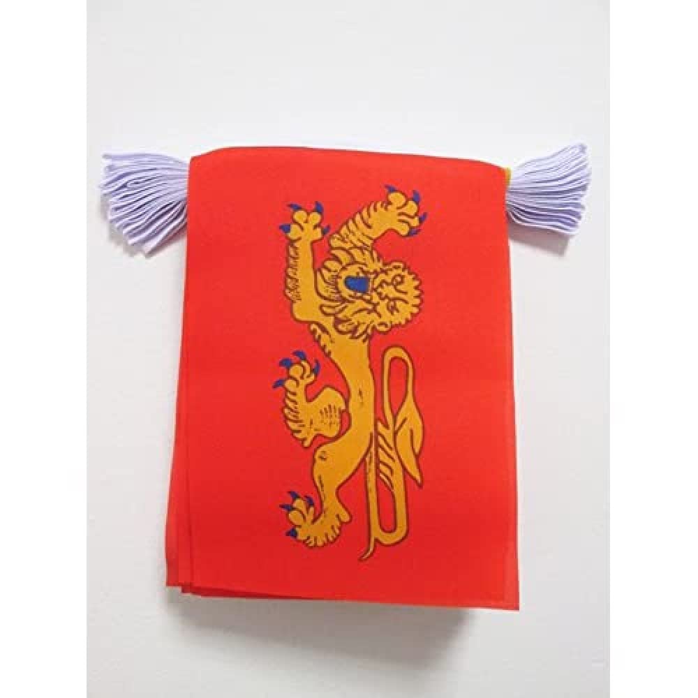 AZ FLAG Aquitaine Bunting Flag, 20 Ft Garland 20 Small Aquitaine Flags 8'' x 6'', 100% Polyester String Pennant, 6 meters