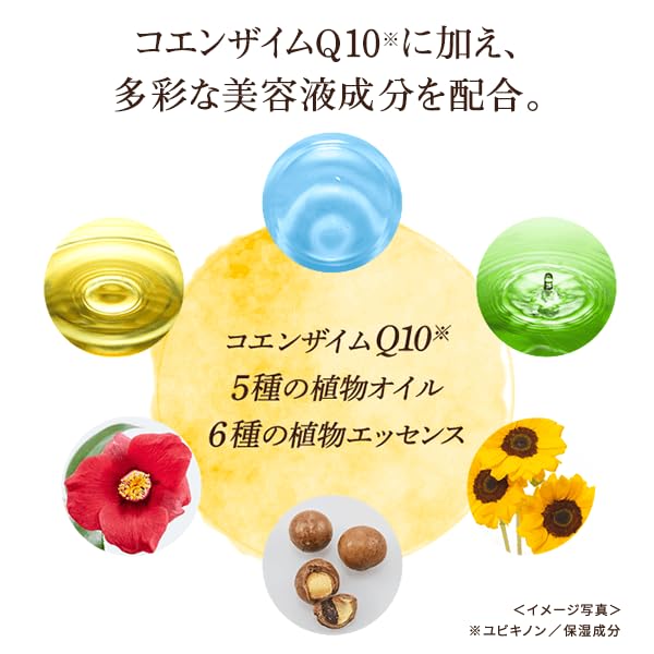 Amazon | DHC Q10 プレミアム カラートリートメント 235g 〔ブラック