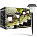 SANSUN Solar LED Path Light Outdoor Garden Lawn Landscape Waterproof Solar Stake Light (Set of 6)
