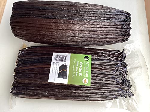 Image of 1 Lb Tahitian Grade B Vanilla Beans for Extract and All Things Vanilla| 4 inch-7 inch by FITNCLEAN VANILLA for Paste and Baking Whole NON-GMO Bourbon Pods (16 oz)
