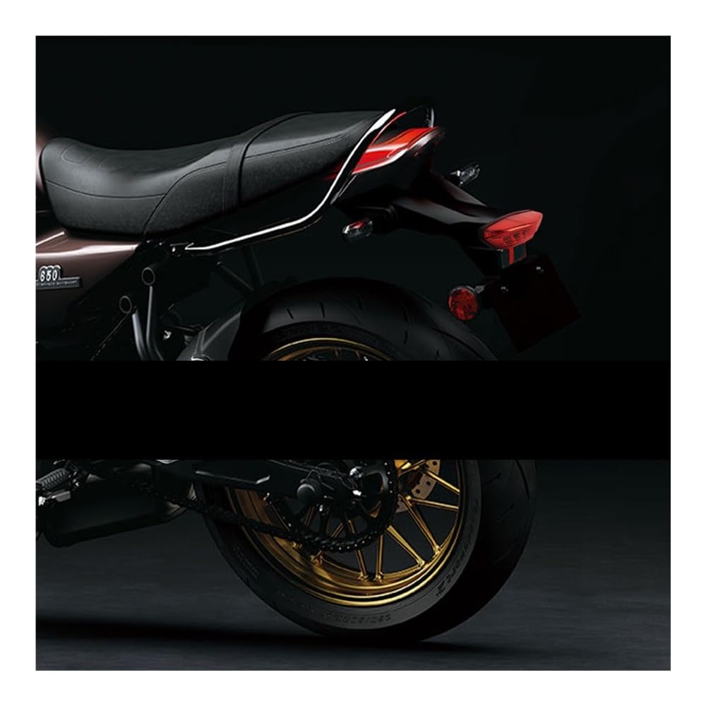 Accessori Per Moto Luci Di Stop E Guida A LED Posteriori Universali Stop Luci Freno