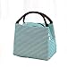 KDJFHDJ Sac à Lunch pour Femme isolé Sac à Lunch à l'épreuve de l'étanchéité de Filles Girl déjeuner Cooler Bag Boîte à Lunch Sac Pique-Nique/Travail/École Sac Blue
