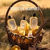 L'OCCITANE - Zel pod prysznic Verveine Agrumes (Werbena Cytrusowa) - 250 ml