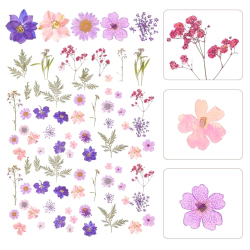 Mezcla de Flores Secas Artesanales 27 Piezas Kit DIY miniatura 6