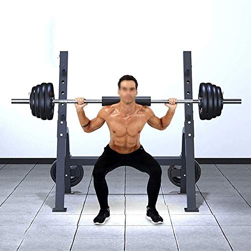 CUUYQ Weight Bench, Workout Benches Multi Purpose Exercise Utility Bench/Fitness Benches for Strength Training Core Workout Training,Blue