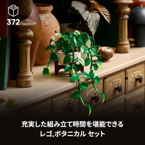 レゴ ボタニカル ゴールデンポトス 関連画像 2