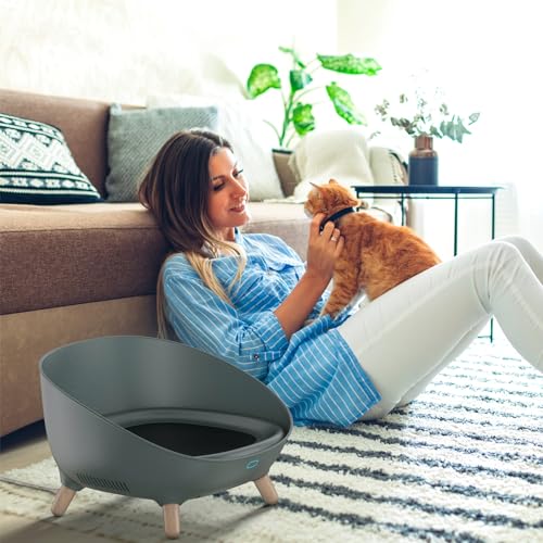 BEBEROAD PETS Sofá e cama para gatos inteligentes, controle de temperatura sem fio, aquecimento e re