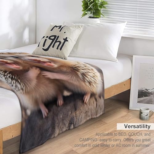 Couverture hérisson anti-froid en flannel moelleuse pour canapé - 7