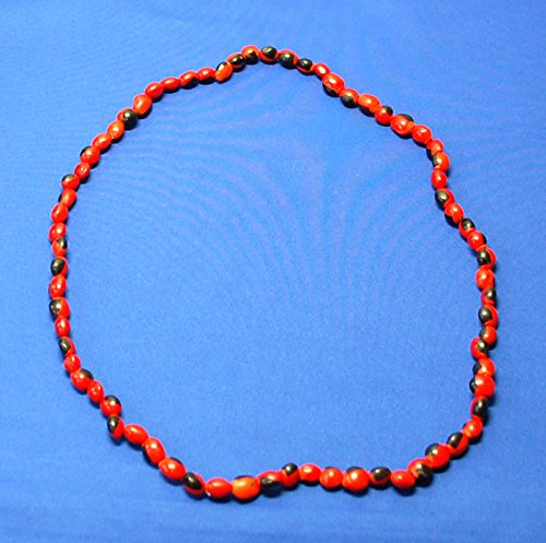 Amazon.co.jp: 【HUAYRURO NECKLACE】ペルーのお守り ワイルーロの実
