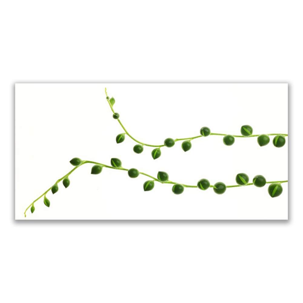 Impression sur verre trempé 120x60 Tulup avec plantes ornementales pour déco murale