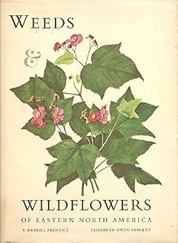 Weeds & wildflowers of Eastern North America