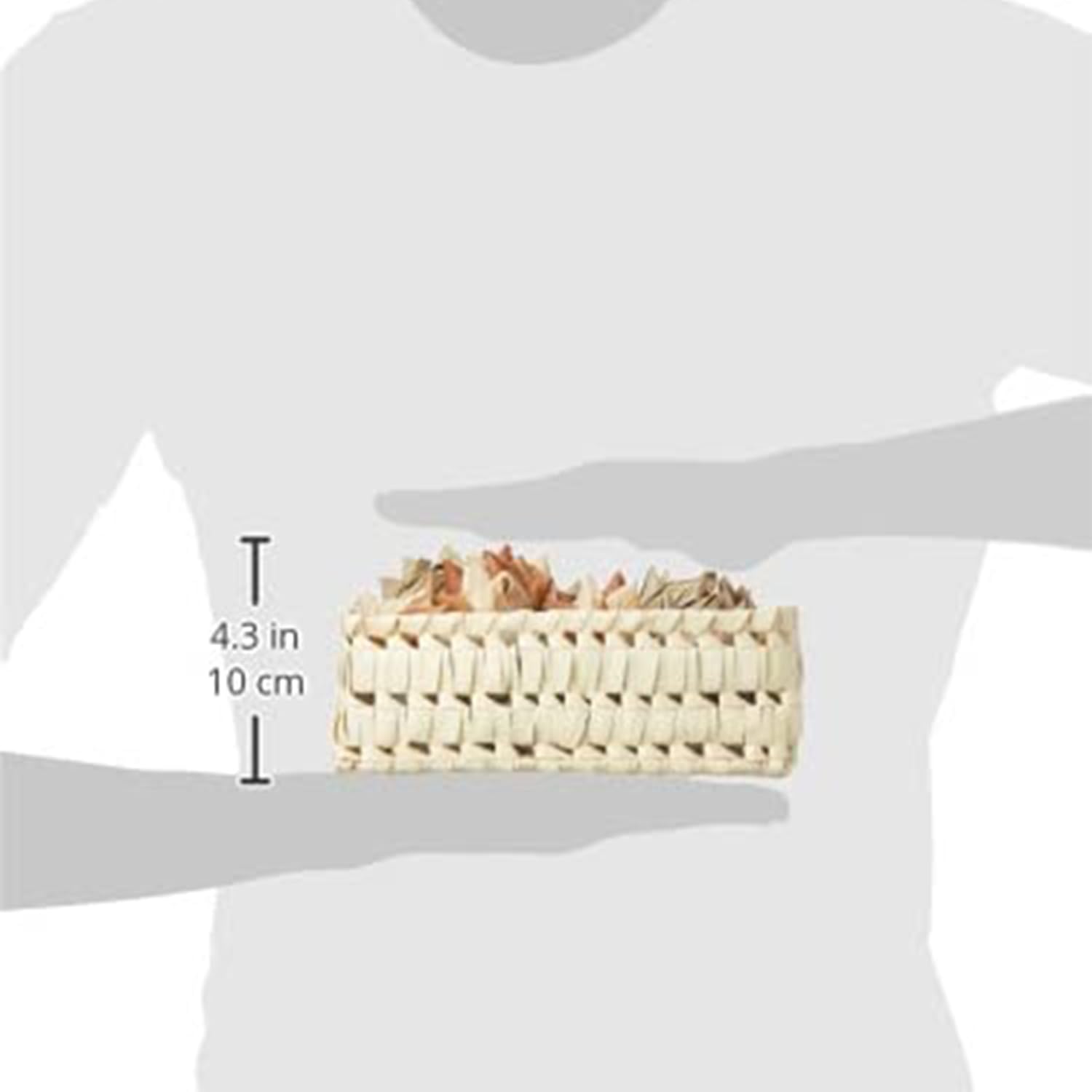 Amazon Brand - Solimo Palm Basket with Natural & Dried Artichoke Bowl Fillers for Home Décor and Gifting offers donot miss