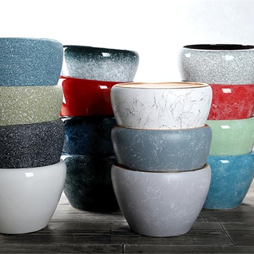 Pots de fleurs en céramique pour succulentes et orchidées - 5