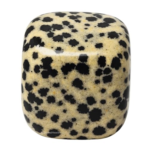 Image of Certified Dalmatian jasper Crystal Healing Tumbled Stone, Natural Polished Crystals for DIY Crafts, Manifestation, Meditation, Pooja Feng Shui and Reiki Healing (30 Grams)