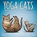 Yoga Cats Together 2020 12 x 12 Inch Monthly Square Wall Calendar by Plato, Animals Humor Cat
