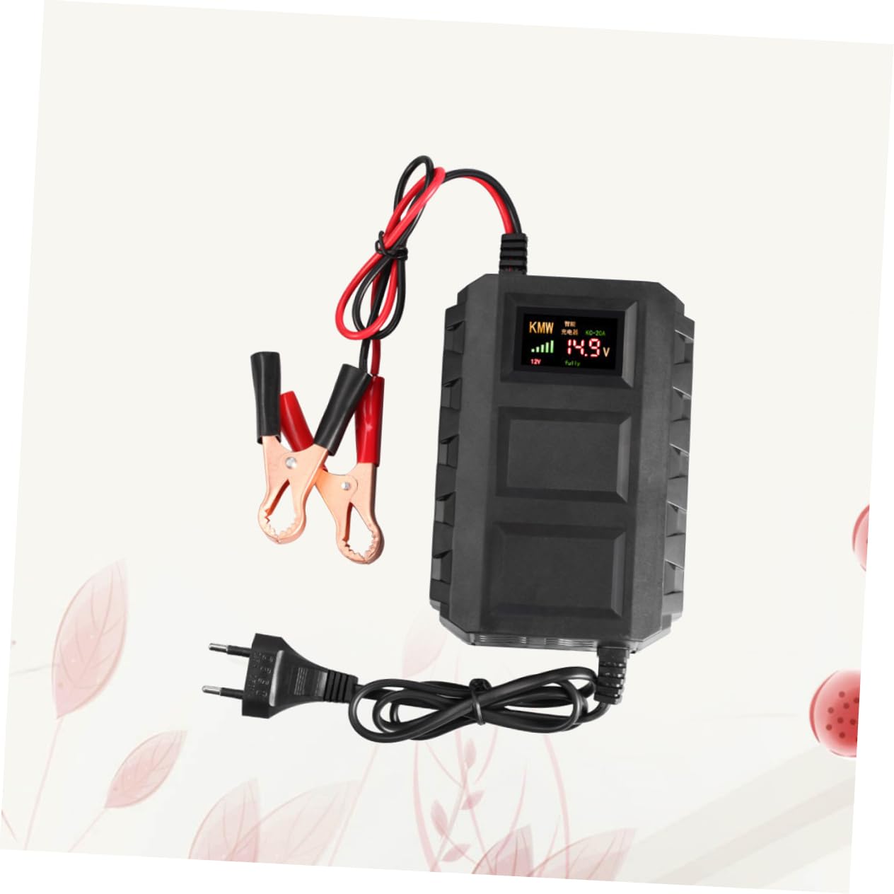 Chargeur de Batterie Automobile 12 V 20 A Noir en Plastique