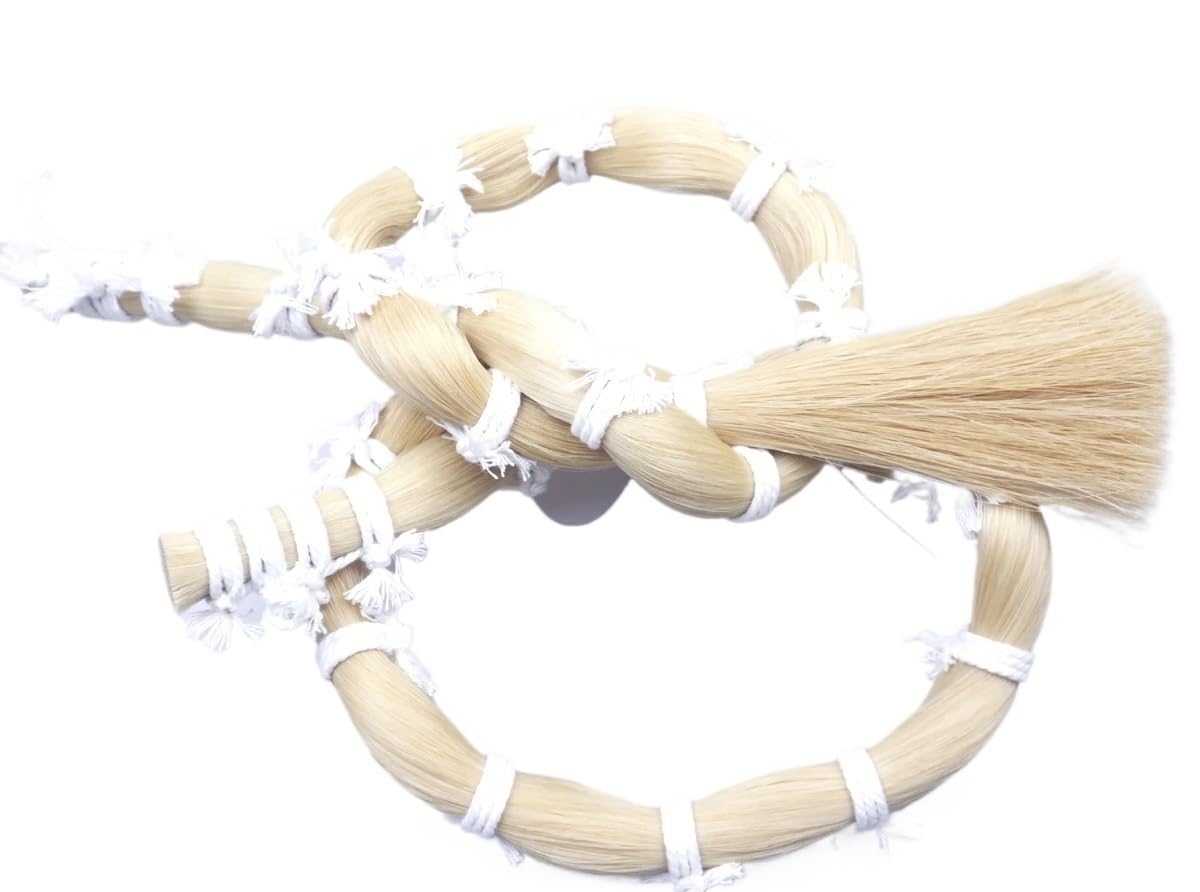 Amazon | 500 グラムの天然本物の馬の尾毛、ヴィオラ チェロ ダブル