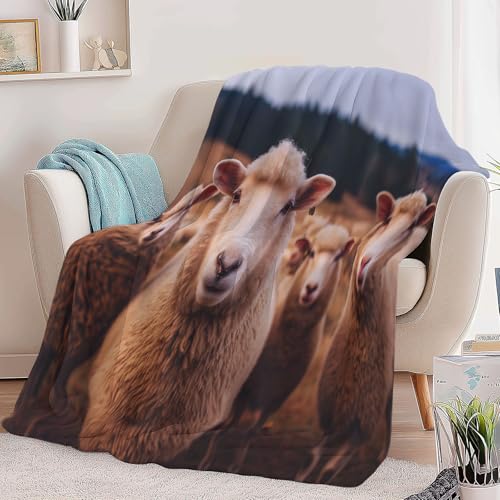 Jeté de canapé microfibre doux imprimé moutons pour vos soirées cocooning