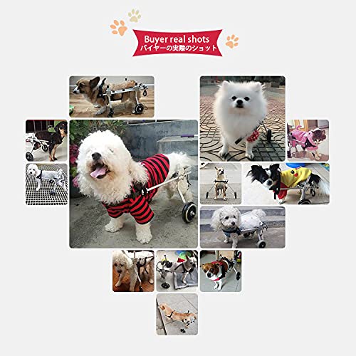 Daigmeng Pet Wheelchair, Disabled Pet, Paralyzed, Amputated Cat And Puppy Wheelchair, Adjustable Lightweight Aluminum Alloy,M #TOP1