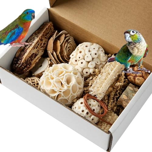 SUSOO Natural Bird Chewing Wooden Toys DIY Set Safe Shredding Toys with Sola Balls Wood Blocks Apple Wood and Pine Cone Foraging Toy for Parrots Parakeet Budgie Conure Love Birds and Cockatiel
