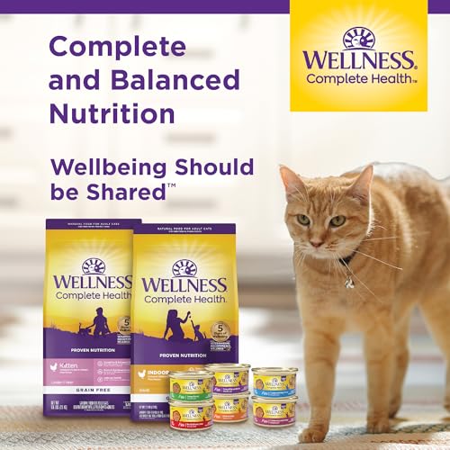 Wellness Complete Health Sliced Adult Wet Cat Food, Natural, Protein-Rich, Grain Free, 3 Ounce, 24 Pack, (Salmon Entrée) - image 9