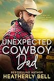Unexpected Cowboy Dad (The Cowboys of Stone Ridge Book 7)