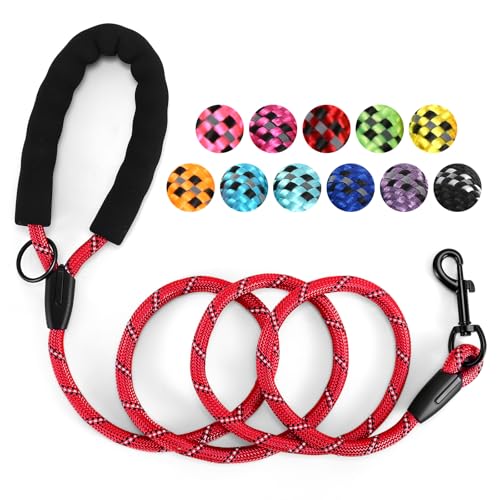 Heavy Duty Dog Leash - 4.9 FT for Large and Small Dogs - Strong Nylon Comfortable Handle Reflective Stitching - Ideal for Walking Training and Outdoor Activities Red