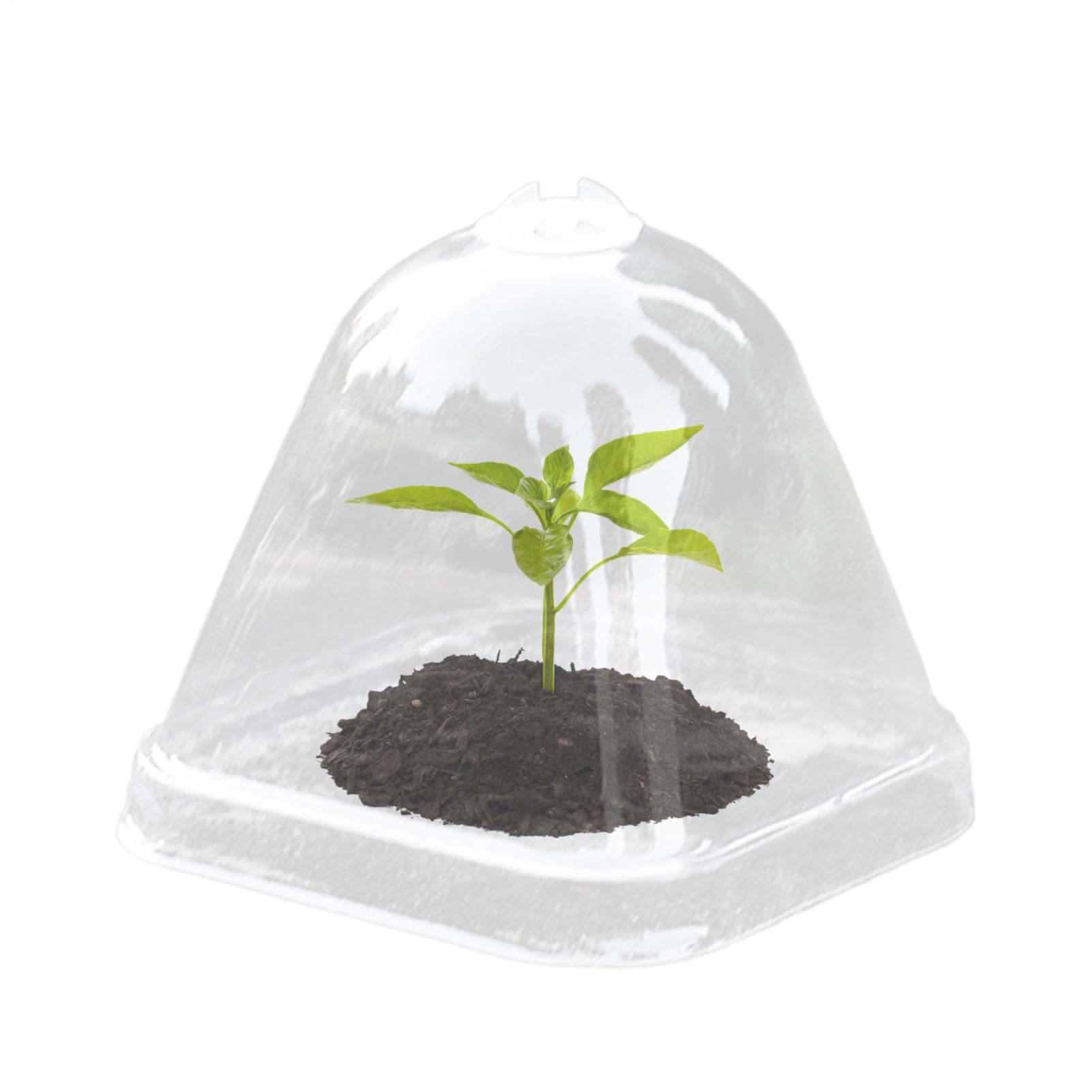Cúpulas De Humedad para Plantas - Cubierta Protectora Transparente para Plantas - Tapa de Aislamiento Térmico 10X para Macetas de Vivero con Control de Humedad e Impermeable
