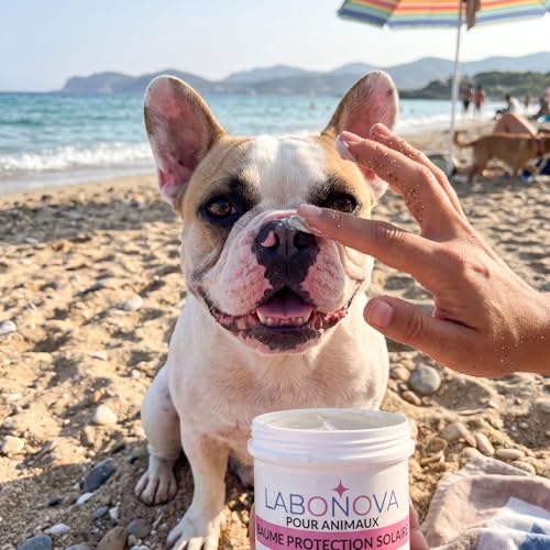 L.O. EQUILIBRIUM Crème Solaire minéral pour Animaux – Protection UV résistante à l’Eau – Chiens, Chats, Chevaux, Lapins et Autres Animaux – vue 4