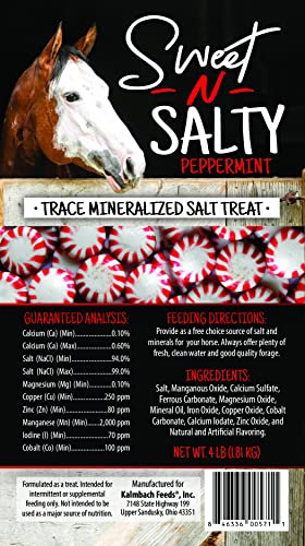 Kalmbach-Feeds-Sweet-N-Salty-Peppermint-Flavored-Salt-Treat-Brick-for-Horses-4-lb