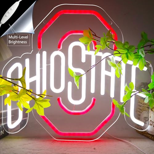 OIZEGO Football Neon Signs University Football Team Neon Lights Wall Decor for Bedroom Dormitory Man Cave Party Gift for Boys Girls 13.412.2 IN Led Art 5V Power Acrylic