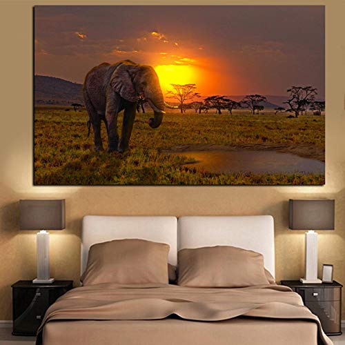 Domrx Impression HD éléphant Africain Coucher de Soleil Paysage Peinture Animale sur Toile Moderne Mur Toile Art Photo pour salon-60x100 cm sans Cadre