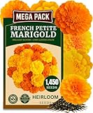 TLSSCO 1450+ French Petite Marigold Seeds, Pack for 2026 USA Premium Non-GMO Flower Seeds for Planting Outdoors AKA. Tagetes patula Easy to Grow Heirloom Seeds