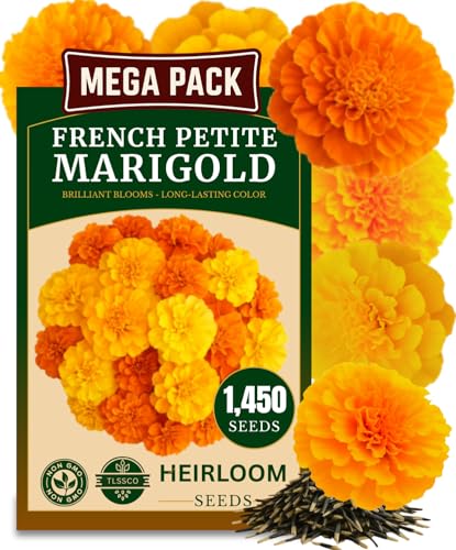 TLSSCO 1450+ French Petite Marigold Seeds Pack for 2026 USA Premium Non-GMO Flower Seeds for Planting Outdoors AKA. Tagetes patula Easy to Grow Heirloom Seeds