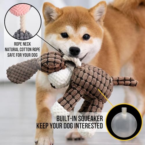 Pack 3 Juguetes Squeaker para Perros de Cuerda miniatura 3