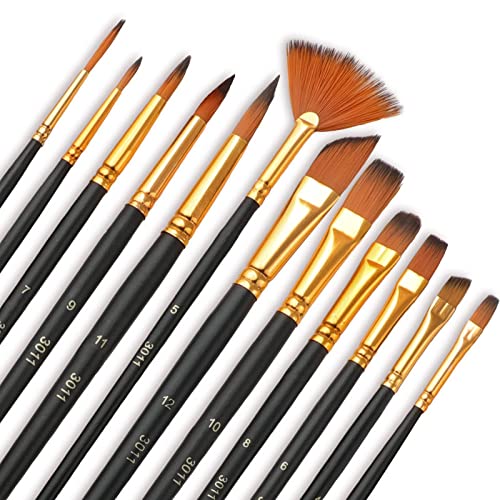 Aniyoo Paint Brush Set, 12PCS Artist Paint Brush Set for Kids and Adults - Acrylic Paint Brush for Watercolor Oil Painting Perfect for Professionals and Beginners