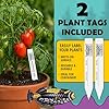 FoxFarm Ocean Forest Potting Soil with 2 Plant Tags, 12 Quarts - Light, Aerated Texture with Fish Meal, Crab Meal, Earthworm Castings - Houseplant Potting Mix for Seedlings & Plant Starts