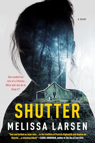 Shutter view 2