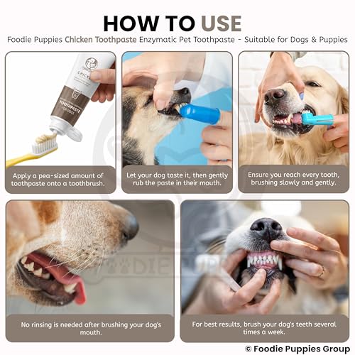 Image of Foodie Puppies Pet Toothpaste for Dogs - (Chicken Flavor, 100gm) Enriched with Baking Soda Soothes Inflamed Gums, Removes Plaque Tartar, Brightens Teeth, & Overall Oral Hygiene