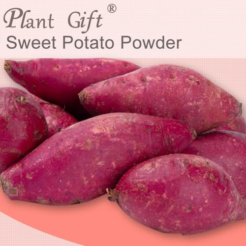 100% Natural Pure Sweet Potato Powder 100g/3.52oz 红薯粉 Süßkartoffelstärke gekocht für Stärke Verdickungsmittel für Saucen, Suppe, & Gravy, frei von Konservierungsmitteln