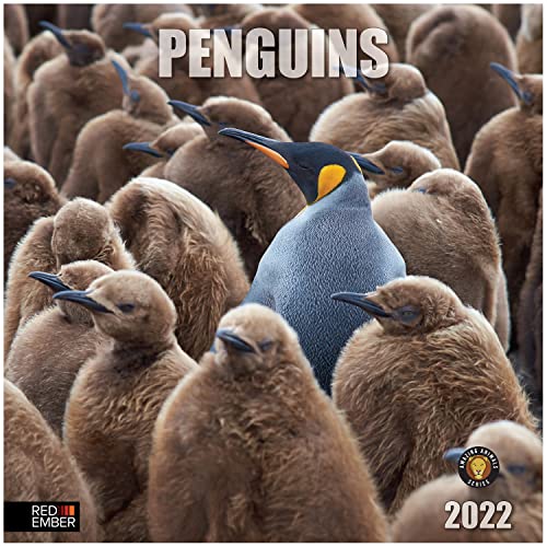 RED EMBER Penguins 2022 Hangable Wall Calendar - 12 x 24 Opened - Thick & Sturdy Paper - Giftable - Perfect for Penguin Lovers of all Ages
