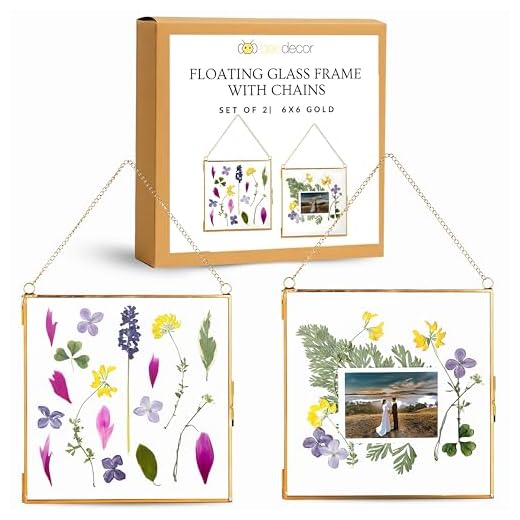Beedecor Glass Frame for Pressed Flowers, Leaf and Artwork - Hanging Square Metal Picture Frames, Clear Double Glass Floating Frame, Wall Decor Photo Display, Set of 2 Flower Press Frames with Chain (Gold, 6x6)